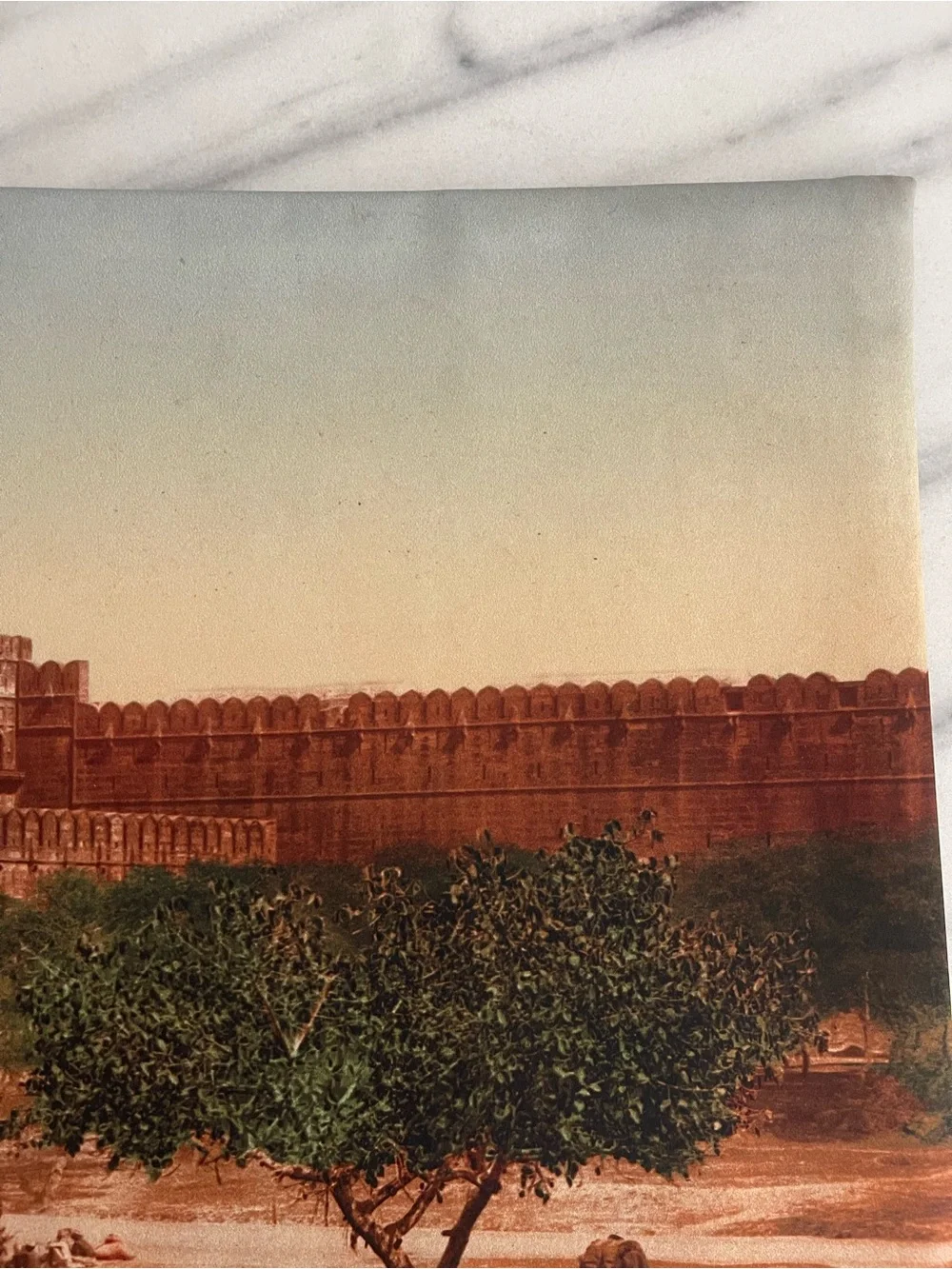 Scenic Printed Pillow Cover w Historic red fort Agra India Agra fort pillow case